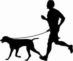 Flamingo Laisse Pour Le Jogging + Ceinture Ventrale Diran L Laisse 103cm / Ceinture 100-130cm -magasin d'aliments pour chiens b4703c644b1bce39aee273a7248cc80789abff62e15be4db28994a561ddda0c8