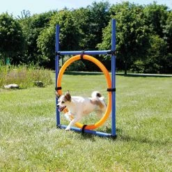 Trixie Fun Agility Anneau -magasin d'aliments pour chiens b79a4466414a4da2954e391c8207a65bb94e1716621690dc570aa14f387fe2a5