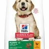 Hill's Science Plan Puppy Large Breed Pour Chien 2,5kg