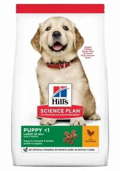 Hill's Science Plan Puppy Large Breed Pour Chien 2,5kg