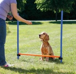 Trixie Obstacle Fun Agility -magasin d'aliments pour chiens c1eb09e3666625338db3d0ddde7dcf7e26f8ad1f96df37beb3e340b6763bcae1