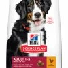 Hill's Science Plan Adult Croquettes Pour Grand Chien Au Poulet 2.5kg