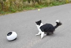 Flamingo Jouet Chien Elton Interactif Distributeur Automatique De Friandises+balles De Tennis 33x24x29cm -magasin d'aliments pour chiens cbb3ba05b8066ea246a2bc1a26978531b6e24a1e3315a5847be7e78fa7441235