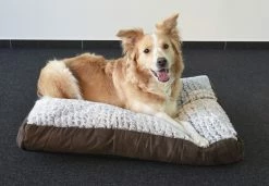 Flamingo Coussin Snoozzy Rectangulaire Fermeture Eclair Brun 80x55x10cm 5 Flamingo Coussin Snoozzy Rectangulaire Fermeture Eclair Brun 80x55x10cm -magasin d'aliments pour chiens ddebe20b0518f8cb1ab97d70c10ffd70611da800dd60a449d444ba58ea18165f