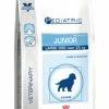 Royal Canin Pediatric Large Dog Junior Pour Chien 4kg