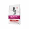 Eukanuba Vdiet Intestinal Pour Chien 5kg