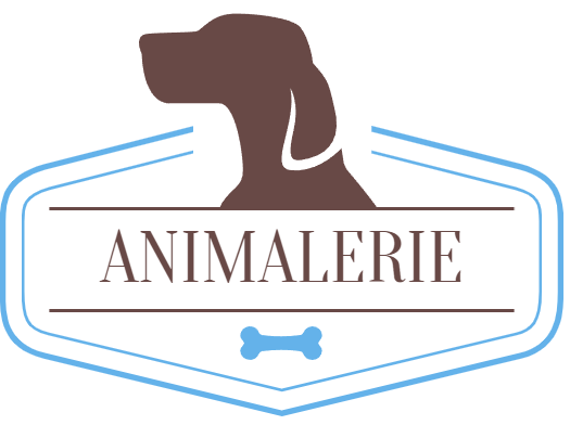 magasin d'aliments pour chiens