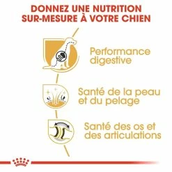 Royal Canin Berger Allemand Adult Pour Chien 11kg -magasin d'aliments pour chiens royal canin berger allemand adult german shepherd berger allemand adulte german shepherd 2