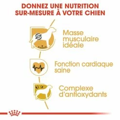 Royal Canin Boxer Adult Pour Chien 12kg -magasin d'aliments pour chiens royal canin boxer adult boxer adulte 2