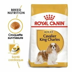 Royal Canin Cavalier King Charles Adult Pour Chien 7,5kg -magasin d'aliments pour chiens royal canin cavalier king charles adult cavalier king charles 1