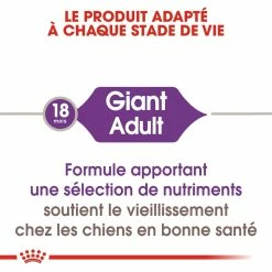 Royal Canin Giant Adult Pour Chien 15kg -magasin d'aliments pour chiens royal canin giant adult giant adult 1