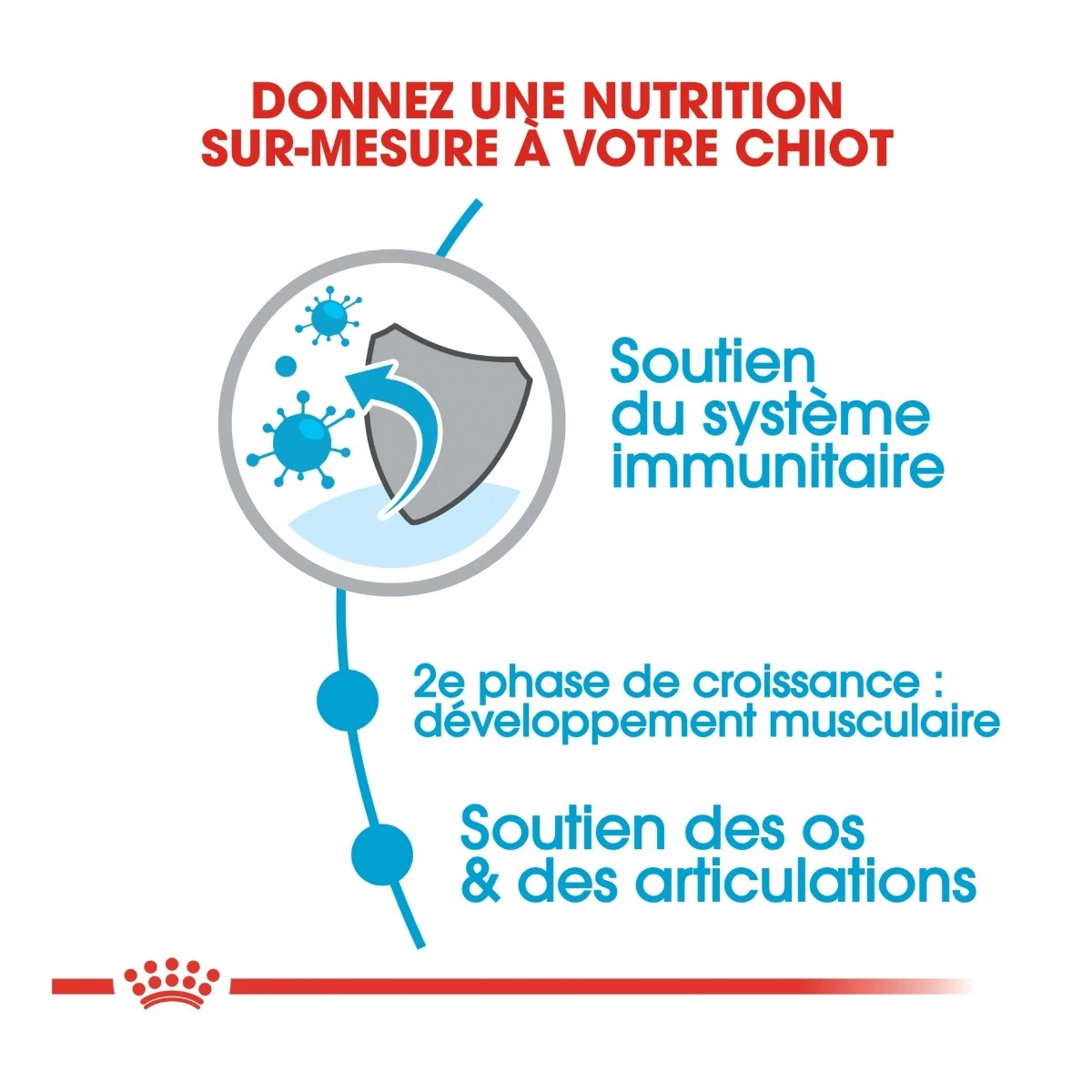 Royal Canin Giant Junior Pour Chien 15kg 4 Royal Canin Giant Junior Pour Chien 15kg – Image 4