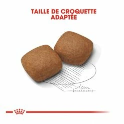 Royal Canin Giant Junior Pour Chien 15kg 9 Royal Canin Giant Junior Pour Chien 15kg -magasin d'aliments pour chiens royal canin giant junior giant junior 3