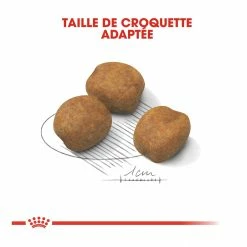 Royal Canin Giant Puppy Pour Chien 15kg -magasin d'aliments pour chiens royal canin giant puppy giant puppy 3