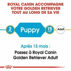 Royal Canin Golden Retriever Chiot Pour Chien 12kg -magasin d'aliments pour chiens royal canin golden retriever puppy golden retriever junior 3