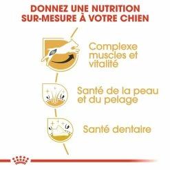 Royal Canin Jack Russell Adult Pour Chien 7,5kg 8 Royal Canin Jack Russell Adult Pour Chien 7,5kg -magasin d'aliments pour chiens royal canin jack russell adult jack russell adulte 2