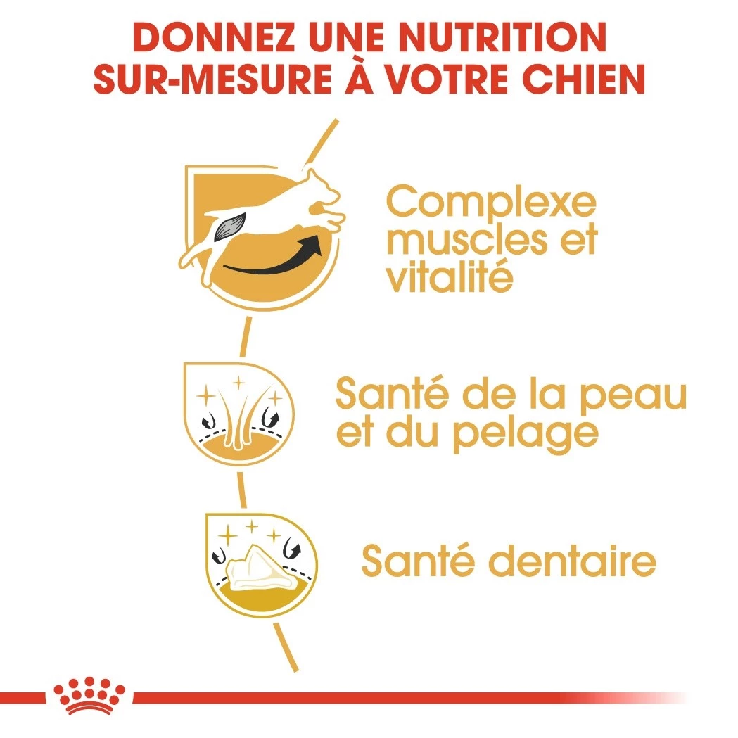 Royal Canin Jack Russell Adult Pour Chien 7,5kg 4 Royal Canin Jack Russell Adult Pour Chien 7,5kg – Image 4