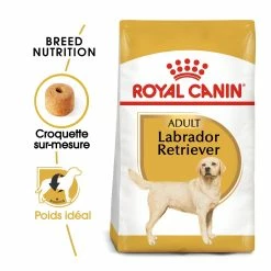 Royal Canin Labrador Retriever Adult Pour Chien 12kg 7 Royal Canin Labrador Retriever Adult Pour Chien 12kg -magasin d'aliments pour chiens royal canin labrador retriever adult croquettes pour chien labrador retriever adulte 1