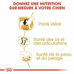 Royal Canin Labrador Retriever Adult Pour Chien 12kg 8 Royal Canin Labrador Retriever Adult Pour Chien 12kg -magasin d'aliments pour chiens royal canin labrador retriever adult croquettes pour chien labrador retriever adulte 2