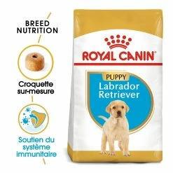 Royal Canin Labrador Retriever Chiot Pour Chien 12kg -magasin d'aliments pour chiens royal canin labrador retriever puppy labrador retriever junior 1