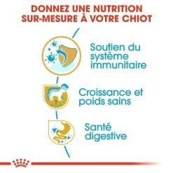 Royal Canin Labrador Retriever Chiot Pour Chien 12kg -magasin d'aliments pour chiens royal canin labrador retriever puppy labrador retriever junior 2