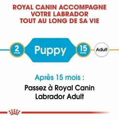Royal Canin Labrador Retriever Chiot Pour Chien 12kg -magasin d'aliments pour chiens royal canin labrador retriever puppy labrador retriever junior 3