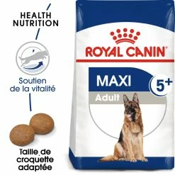 Royal Canin Maxi Adult 5+ Pour Chien 4kg -magasin d'aliments pour chiens royal canin maxi adult croquettes pour chien maxi adult 1 1