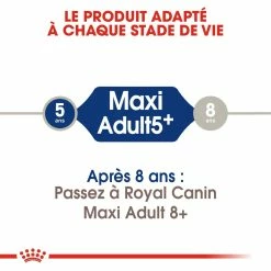 Royal Canin Maxi Adult 5+ Pour Chien 10kg -magasin d'aliments pour chiens royal canin maxi adult croquettes pour chien maxi adult 2 2