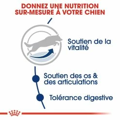 Royal Canin Maxi Adult 5+ Pour Chien 10kg -magasin d'aliments pour chiens royal canin maxi adult croquettes pour chien maxi adult 3 2