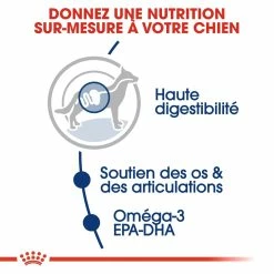 Royal Canin Maxi Adult Pour Chien 15kg -magasin d'aliments pour chiens royal canin maxi adult croquettes pour chien maxi adult 2