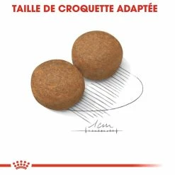 Royal Canin Maxi Adult Pour Chien 15kg -magasin d'aliments pour chiens royal canin maxi adult croquettes pour chien maxi adult 3