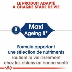 Royal Canin Maxi Ageing 8+ Pour Chien 15kg 10 Royal Canin Maxi Ageing 8+ Pour Chien 15kg -magasin d'aliments pour chiens royal canin maxi ageing croquettes pour chien maxi ageing 3