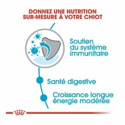 Royal Canin Maxi Chiot Pour Chien 4kg 4 Royal Canin Maxi Chiot Pour Chien 4kg -magasin d'aliments pour chiens royal canin maxi puppy croquettes pour chiot maxi puppy 1 1