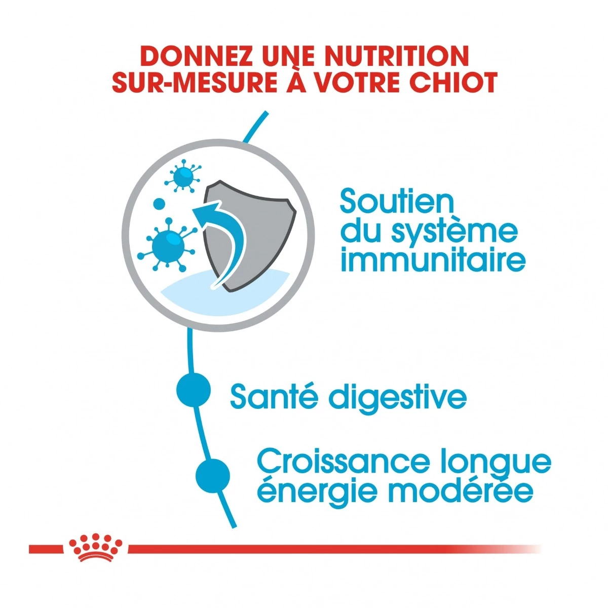 Royal Canin Maxi Chiot Pour Chien 4kg 2 Royal Canin Maxi Chiot Pour Chien 4kg – Image 2