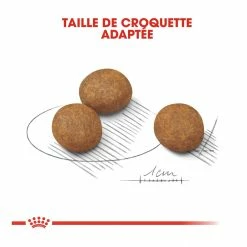Royal Canin Maxi Chiot Pour Chien 4kg 5 Royal Canin Maxi Chiot Pour Chien 4kg -magasin d'aliments pour chiens royal canin maxi puppy croquettes pour chiot maxi puppy 3 1