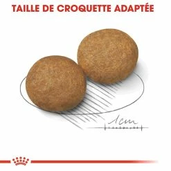 Royal Canin Medium Adult Pour Chien 15kg -magasin d'aliments pour chiens royal canin medium adult croquettes pour chien medium adult 3