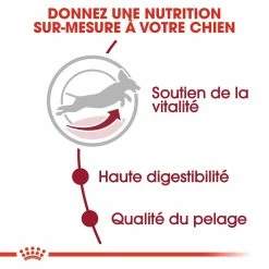 Royal Canin Medium Adult 7+ Pour Chien 15kg 9 Royal Canin Medium Adult 7+ Pour Chien 15kg -magasin d'aliments pour chiens royal canin medium adult medium adult 2