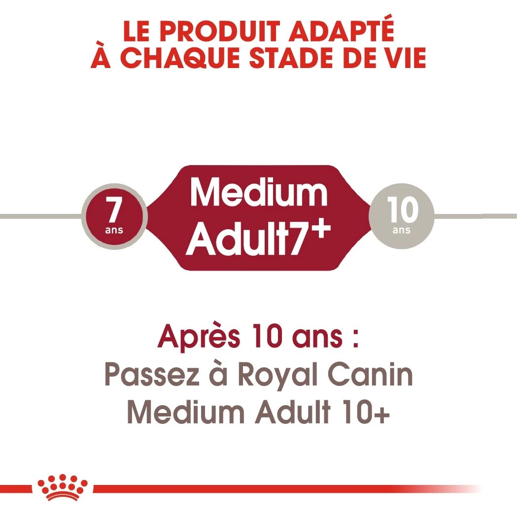 Royal Canin Medium Adult 7+ Pour Chien 15kg 6 Royal Canin Medium Adult 7+ Pour Chien 15kg – Image 6