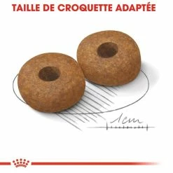 Royal Canin Medium Ageing 10+ Pour Chien 15kg -magasin d'aliments pour chiens royal canin medium ageing medium ageing 2