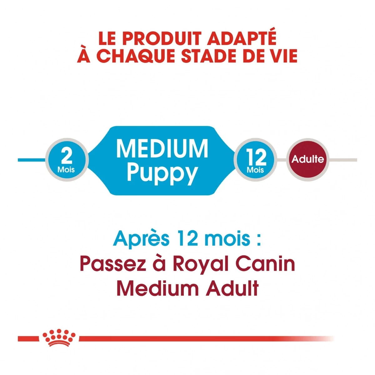 Royal Canin Medium Junior Pour Chien 15kg 4 Royal Canin Medium Junior Pour Chien 15kg – Image 4
