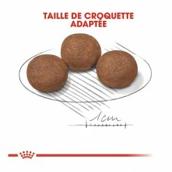 Royal Canin Medium Junior Pour Chien 15kg 11 Royal Canin Medium Junior Pour Chien 15kg -magasin d'aliments pour chiens royal canin medium puppy croquettes pour chiot medium puppy 4
