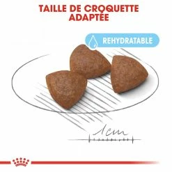 Royal Canin Medium Starter Mother & Babydog - 15Kg 10 Royal Canin Medium Starter Mother & Babydog - 15Kg -magasin d'aliments pour chiens royal canin medium starter medium starter 2