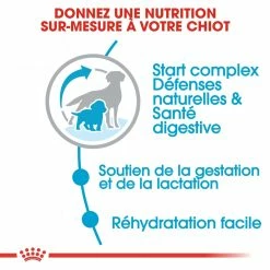 Royal Canin Medium Starter Mother & Babydog - 15Kg 11 Royal Canin Medium Starter Mother & Babydog - 15Kg -magasin d'aliments pour chiens royal canin medium starter medium starter 3