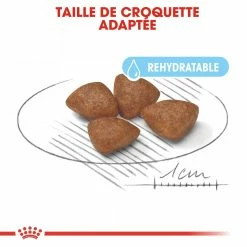 Royal Canin Mini Starter Mother & Babydog - 8.5Kg -magasin d'aliments pour chiens royal canin mini starter mini starter 2