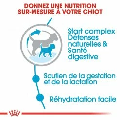 Royal Canin Mini Starter Mother & Babydog - 8.5Kg -magasin d'aliments pour chiens royal canin mini starter mini starter 3