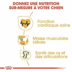 Royal Canin Rottweiler Adult Pour Chien 12kg -magasin d'aliments pour chiens royal canin rottweiler adult rottweiler 2