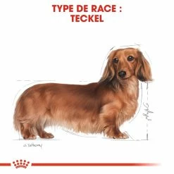 Royal Canin Teckel Adult Pour Chien 7,5kg 9 Royal Canin Teckel Adult Pour Chien 7,5kg -magasin d'aliments pour chiens royal canin teckel adult dachshund teckel dachshund 3