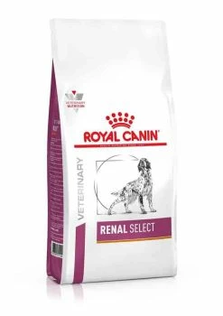 Royal Canin Renal Select Pour Chien 10kg 3 Royal Canin Renal Select Pour Chien 10kg -magasin d'aliments pour chiens royal canin veterinary dog renal select 1 1