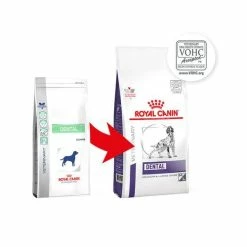 Royal Canin Dental Adult Pour Chien 13kg