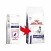 Royal Canin Neutered Adult Medium Dog Pour Chien 3,5kg